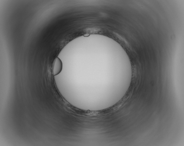 X0000110900761200906180946
