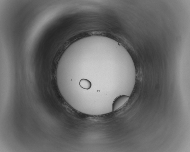 X0000110900763200906180946
