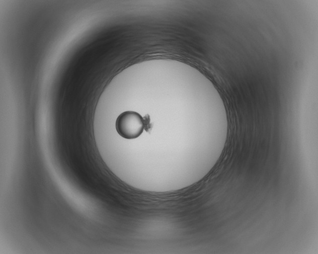 X0000110900764200906180946