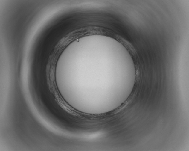 X0000110900765200906180946