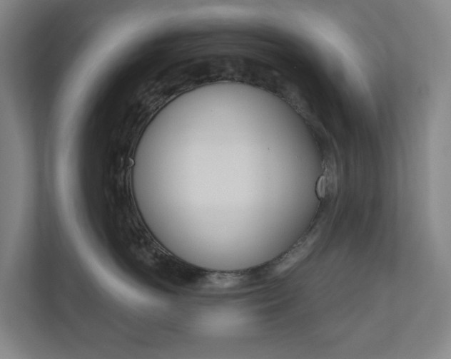 X0000110900766200906180946