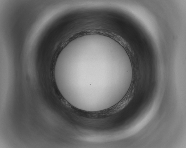 X0000110900767200906180946