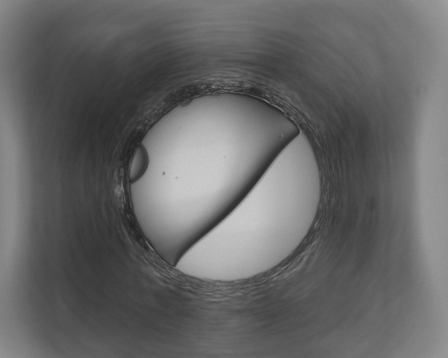 X0000110900771200906180945