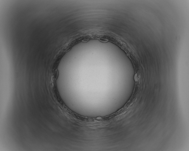 X0000110900772200906180945