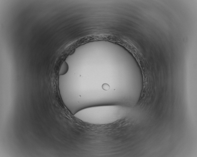 X0000110900773200906180945