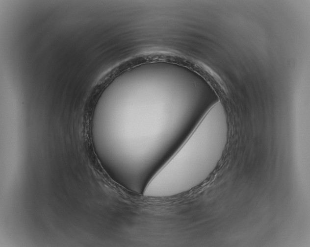 X0000110900775200906180945
