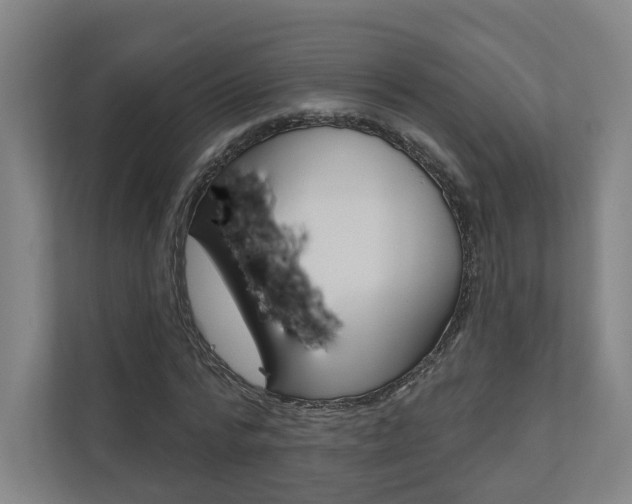 X0000110900776200906180945