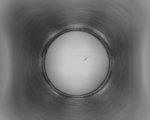 X0000110900778200906180945