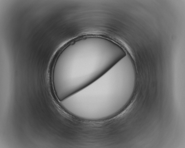 X0000110900779200906180945
