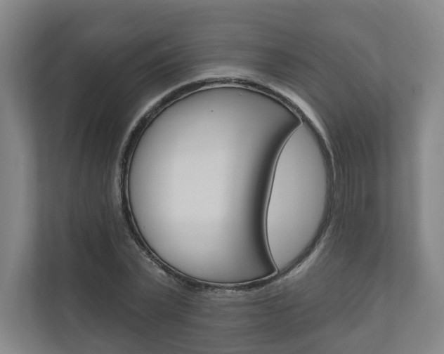 X0000110900783200906180945