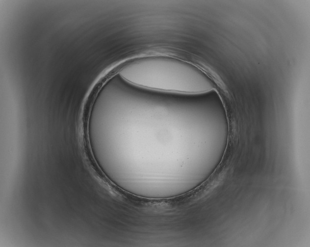 X0000110900784200906180945