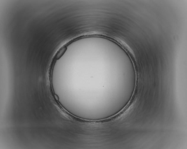 X0000110900789200906180945