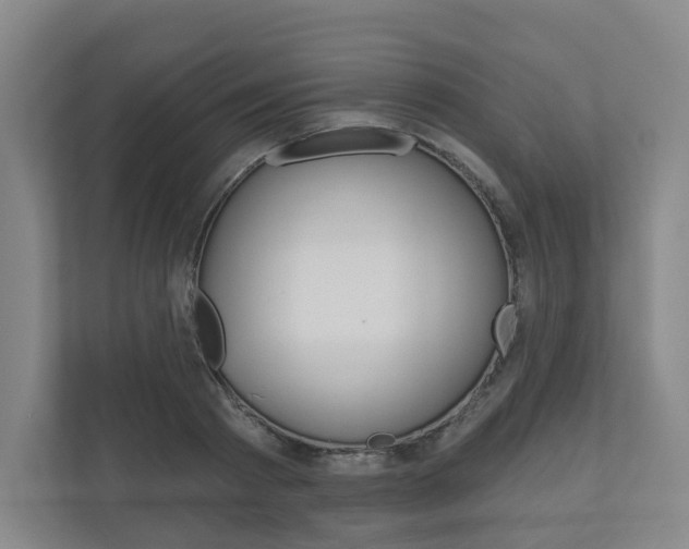 X0000110900793200906180945