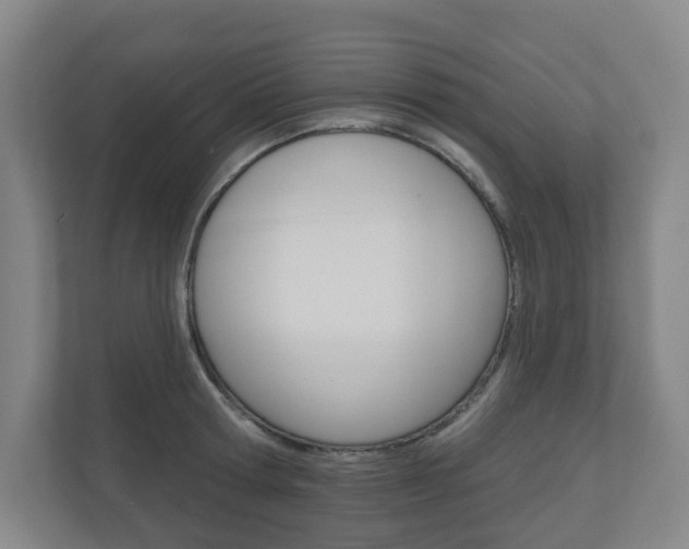 X0000110900802200906180945