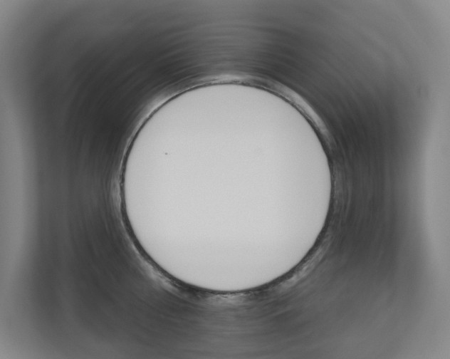X0000110900810200906180945