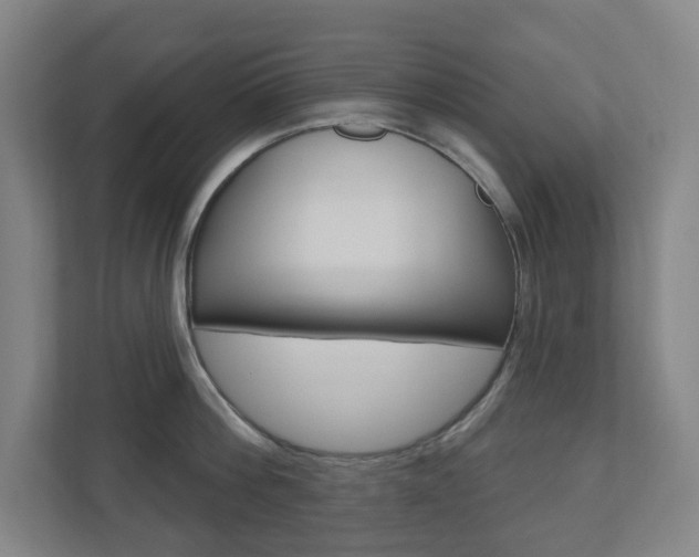 X0000110900812200906180945