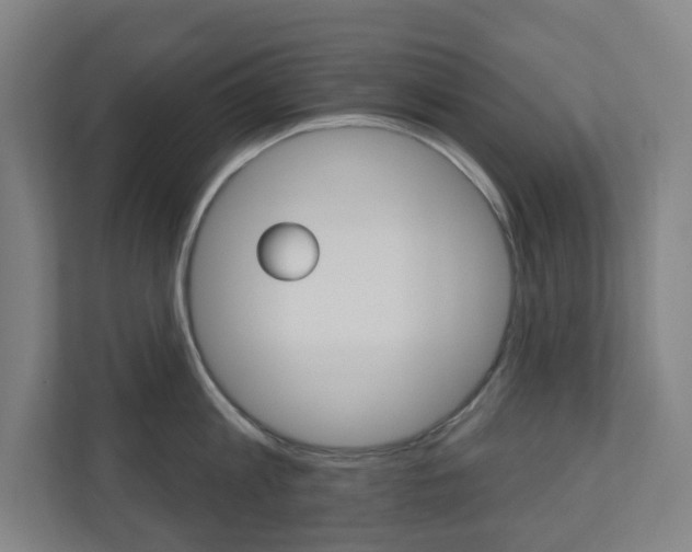 X0000110900813200906180945