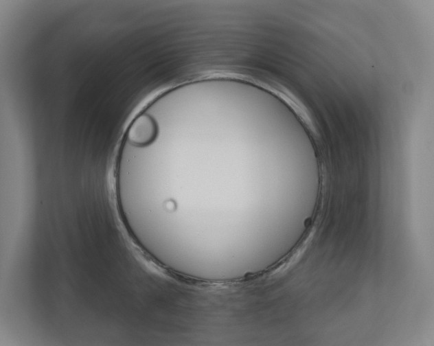X0000110900814200906180945