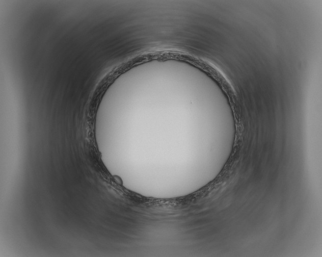 X0000110900823200906180944