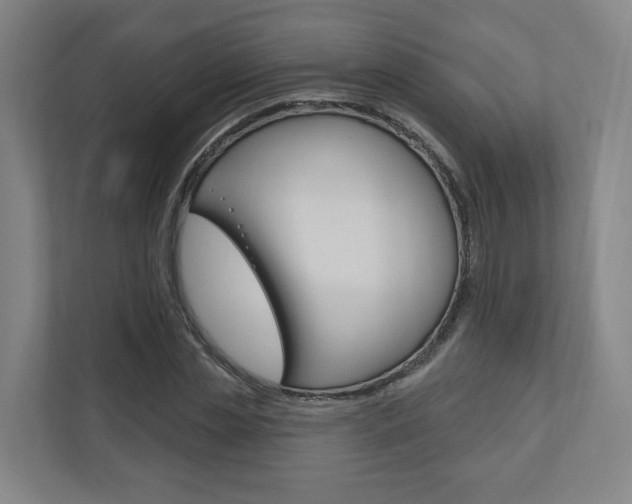 X0000110900829200906180944