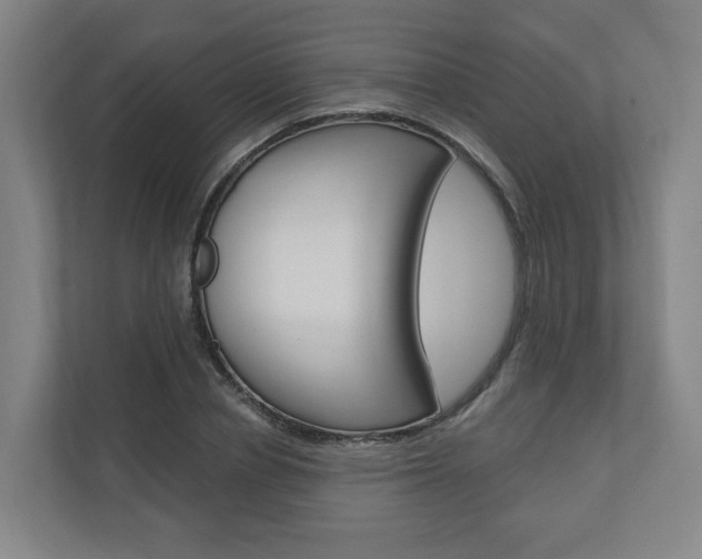 X0000110900834200906180944