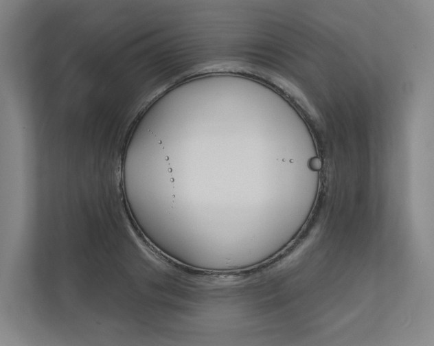 X0000110900841200906180944