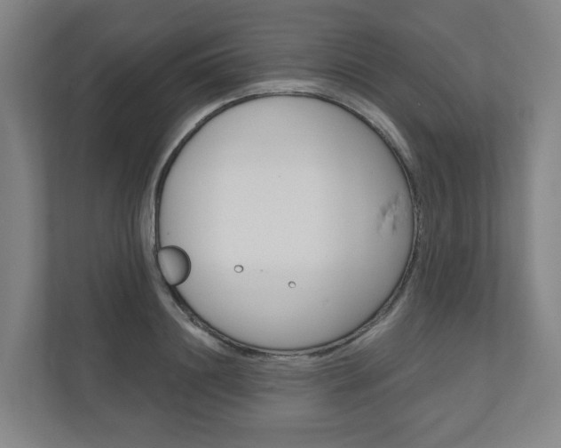 X0000110900844200906180944