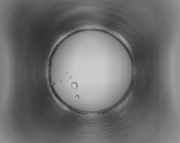 X0000110900847200906180944