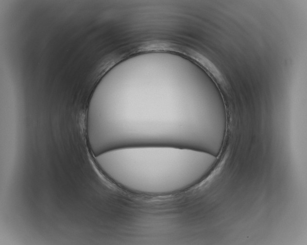 X0000110900849200906180944