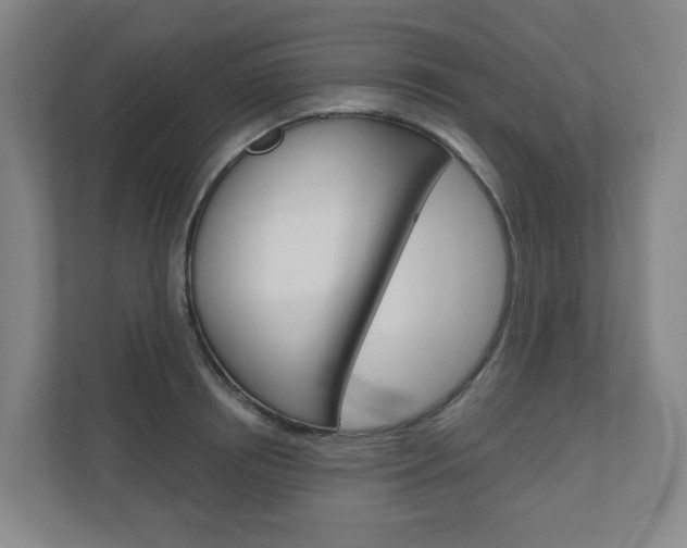 X0000110900850200906180944