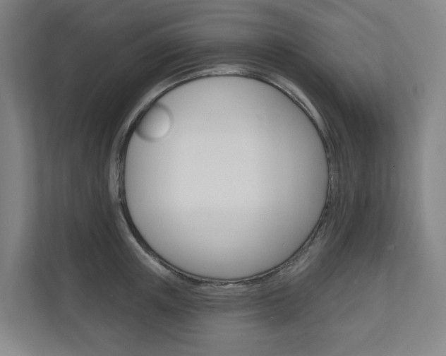 X0000110900851200906180944