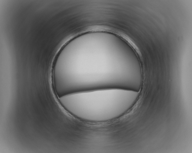 X0000110900853200906180944