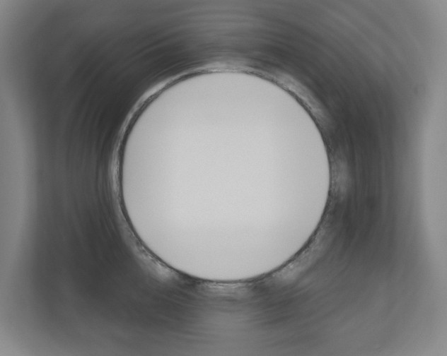 X0000110900856200906180944