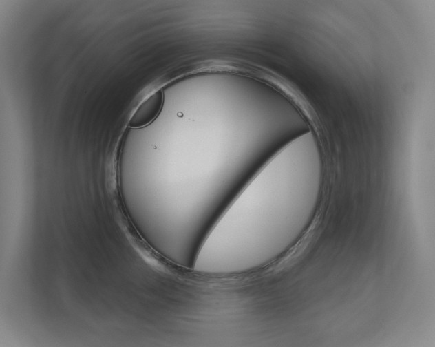 X0000110900858200906180945