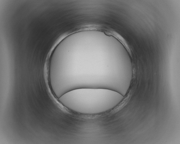 X0000110900859200906180945