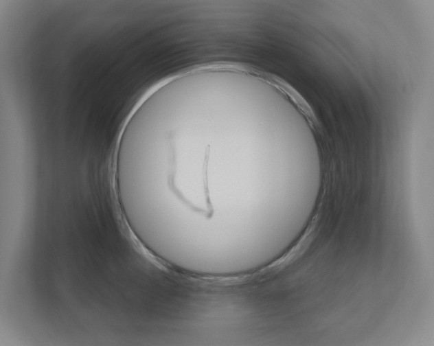 X0000110900860200906180945