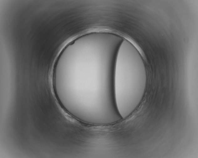 X0000110900861200906180945