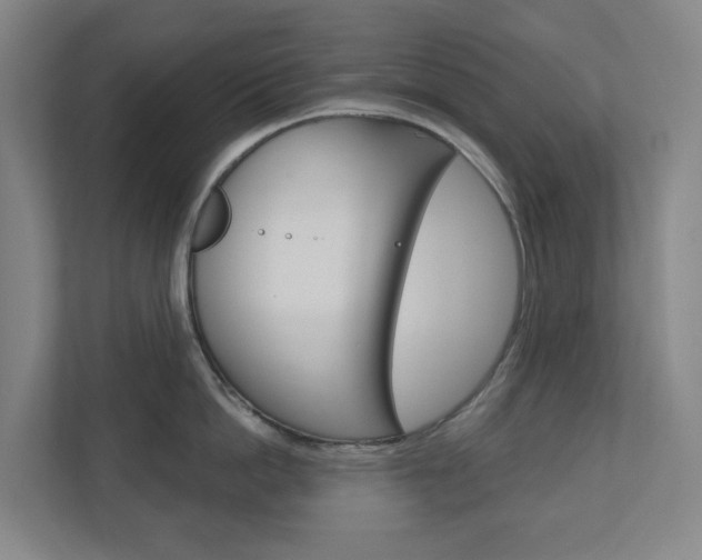 X0000110900862200906180945