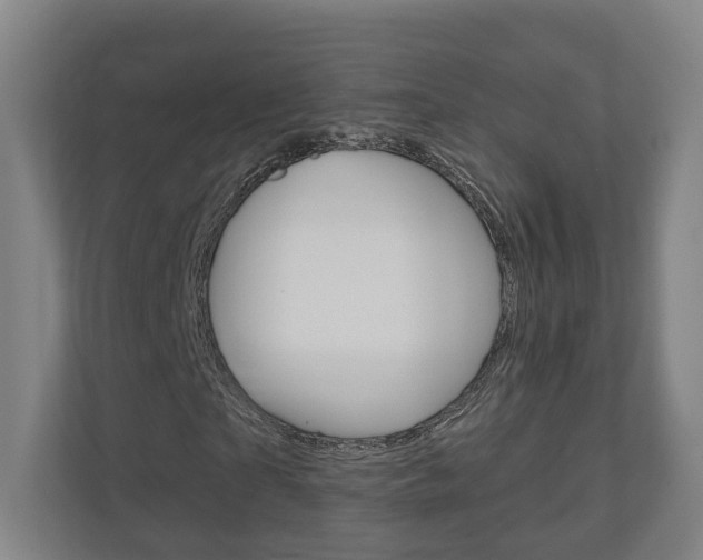 X0000110900865200906180944