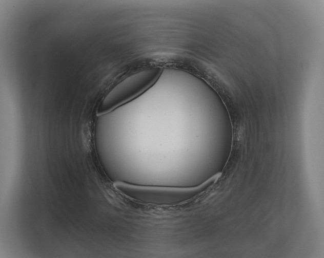 X0000110900868200906180944
