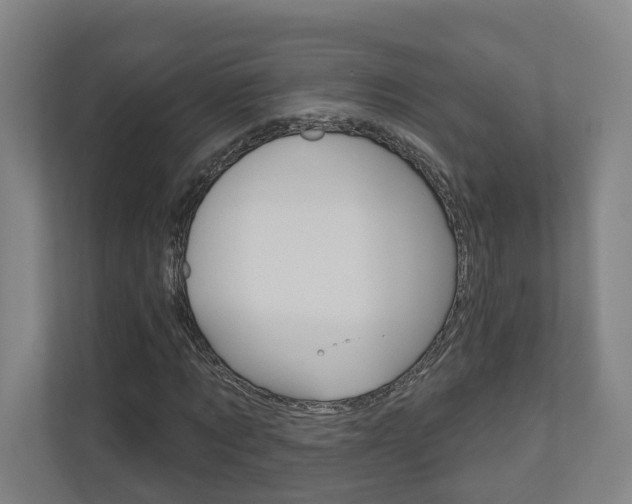 X0000110900869200906180944