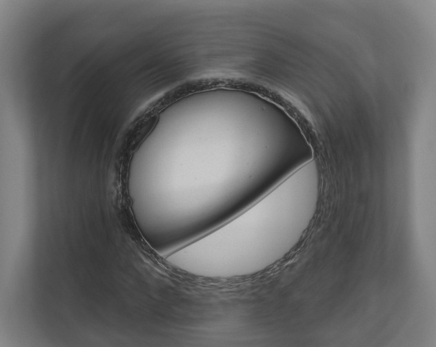 X0000110900872200906180944