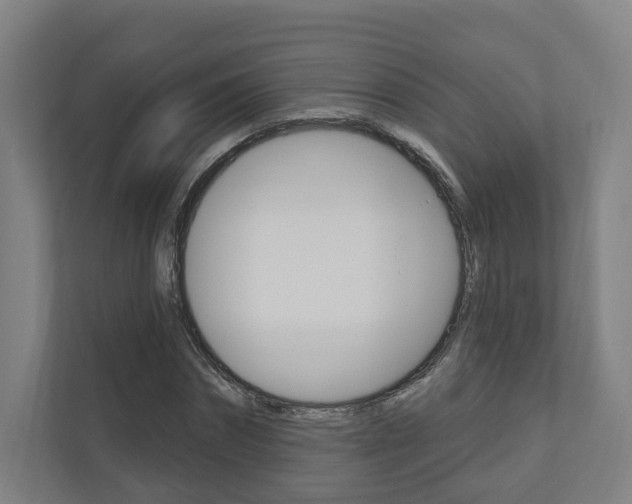 X0000110900874200906180944
