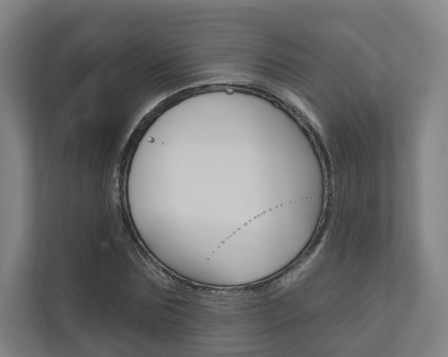 X0000110900875200906180944