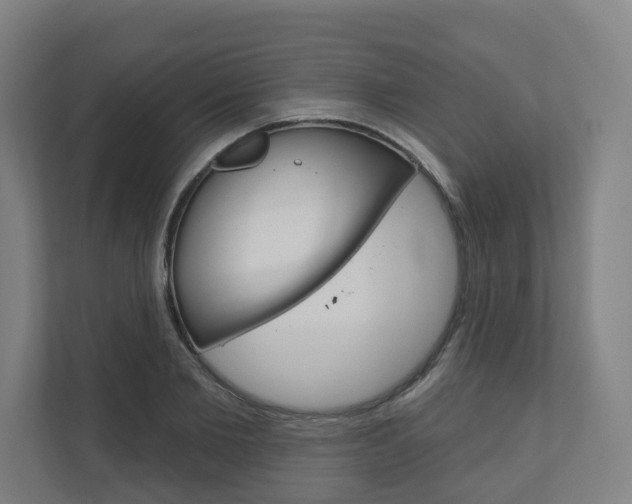 X0000110900885200906180944