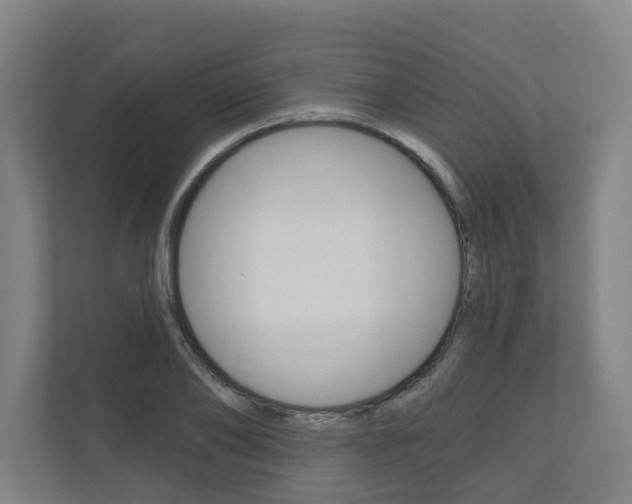 X0000110900886200906180944