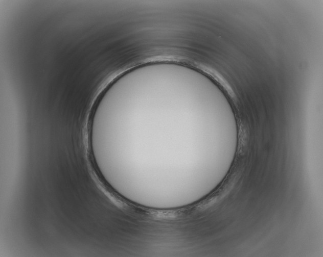 X0000110900890200906180944