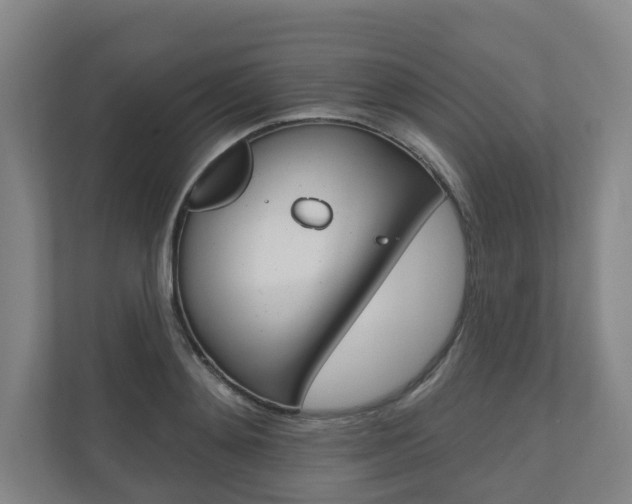 X0000110900892200906180944