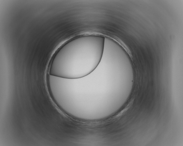 X0000110900893200906180944