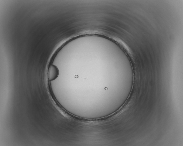 X0000110900894200906180944